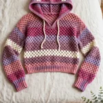 Berry Sorbet Mesh Cropped Hoodie